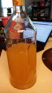 Final Product: Honeyed Summer Cantaloupe